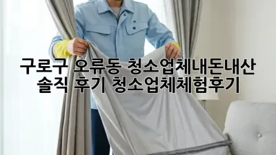 구로구 오류동 청소업체✨내돈내산 솔직 후기! #청소업체체험후기